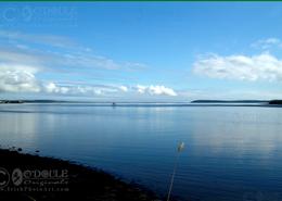 The Roscommon, Cavan & Carlow Gallery. Passage East - Co. Waterford