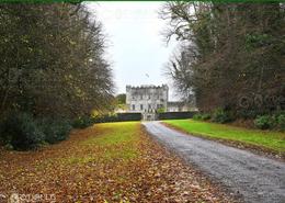 The Roscommon, Cavan & Carlow Gallery. Huntington Castle, Clonegal - Co. Carlow