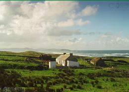 The Donegal Gallery. A small holding on Ballymastocker Bay - Co. Donegal