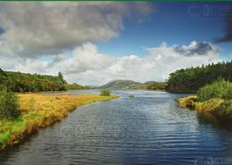 The Donegal Gallery. Tawny - Co. Donegal