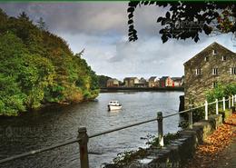 The Donegal Gallery. Rathmelton Village - Co. Donegal