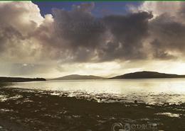 The Donegal Gallery. Lough Swilly - Co. Donegal