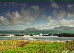 The Donegal Gallery. The mouth of Lough Swilly - Co. Donegal