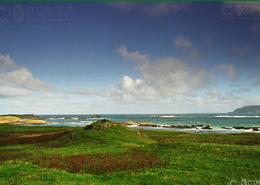 The Donegal Gallery. The Atlantic at Fanad Head - Co. Donegal