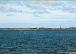 The Kerry Gallery. River Shannon - Co. Kerry