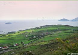 The Kerry Gallery. Farming on Slea Head 1996 - Dingle Peninsula, Co. Kerry