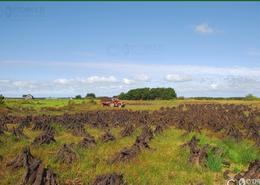 The Kerry Gallery. Bringing Home the Turf -  Listowel, Co. Kerry