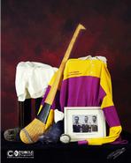 The Wexford Gallery. The golden age of Wexford hurling