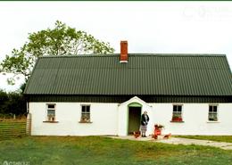 The Wexford Gallery. Bridie Cullen looking after the hens, Kilmuckridge - Co. Wexford