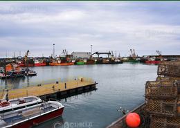 The Wexford Gallery. Kilmore Quay,  Co. Wexford