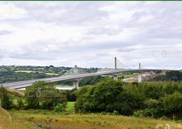 The Wexford Gallery. Rose Fitzgerald Kennedy Bridge  at New Ross Co Wexford