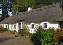 The Wexford Gallery. Thatched Cottage Home near Gorey - Co. Wexford