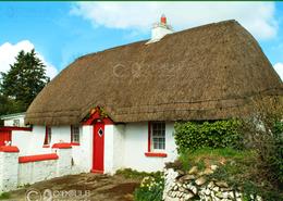 The Wexford Gallery. Thatched Cottage in Clohamon, near Bunclody - Co. Wexford