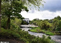 The Sligo Gallery. Salmon Fishing on the Ballisodare River