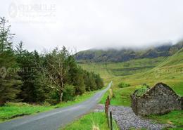 The Sligo Gallery. Gleniff Horseshoe Pass, Co. Sligo