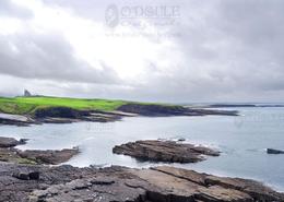 The Sligo Gallery. Mullaghmore Head, Co. Sligo