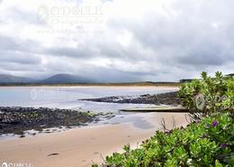 The Sligo Gallery. Mullaghmore Beach, Co. Sligo