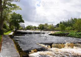 The Sligo Gallery. The Ballisodare Falls in Ballisodare, Co. Sligo