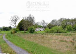 The Sligo Gallery. Traditional Family Farmhouse in Co. Sligo