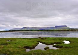 The Sligo Gallery. Benbulbin and the Dartry Mountains from Streedagh Strand