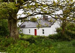 The Sligo Gallery. Under the Oak, Empty Cottage in Co. Sligo