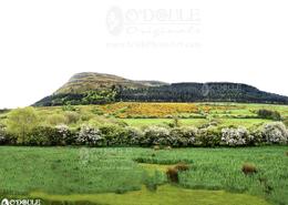 The Sligo Gallery. The Historic Knocknarea Mountain from the North Side