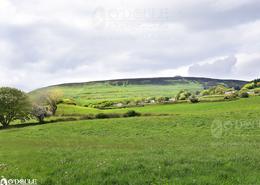 The Sligo Gallery. Knocknarea with its Stone Cairne, the Buriel Ground of Warrior Queen Maeve