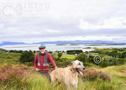 Spirit of the Celts - The Irish Character. Irish Wolfhound  