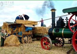 Ancient World - An Irish Heritage. Field Trashing - Co. Wicklow 2005