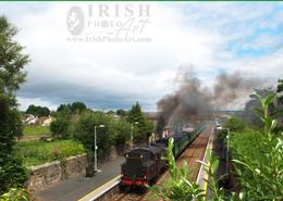 Ancient World - An Irish Heritage. Steam Train Excursion - Co. Wexford 2010 