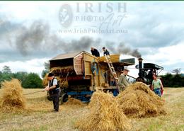 Ancient World - An Irish Heritage. Traditional Working Trashing Mill at Carnew Heritage Day - Co. Wicklow 2005