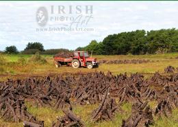 Ancient World - An Irish Heritage. Bringing Home the Turf, near Listowel, Co. Kerry