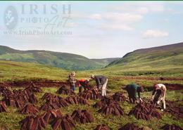 Ancient World - An Irish Heritage. Family Saving Turf - Sally Gap, Co. Wicklow (Circa 1978)