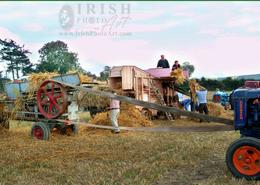 Ancient World - An Irish Heritage. The Trashing in Full Swing  at Carnew Heritage Day - Co. Wicklow 2005