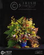 Images of The Soul - Irish Still Life Fine Art Photographs. Irish Wild Autumn