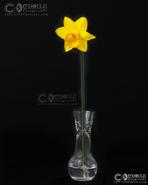 Images of The Soul - Limited Edition Irish Still Life Art Prints. 'A Daffodill' reflecting on the first sign of the Irish spring