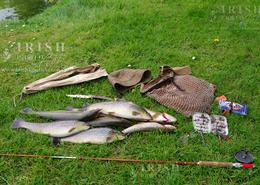 Images of The Soul - Limited Edition Irish Still Life Art Prints. Native Irish wild brown river trout