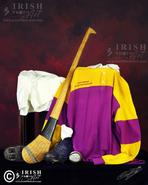 Images of The Soul - Limited Edition Irish Still Life Art Prints. 'Hurling' - The golden age of Irelands oldest and fastest field sport