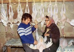 Irish photography. O Doule Originals. Limited Edition Fine Art Prints. 'The Turkey Pluckers'  Christmastime on an Irish poultry farm 1976