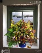 O'Doule Originals - Unique Fine Art Photographs. Irish Wild Window
