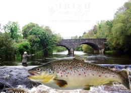 O'Doule Originals - Unique Fine Art Photographs. Irish wild brown river trout