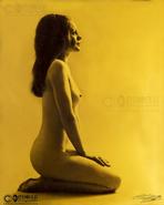 O'Doule Originals - Limited Edition Fine Art Prints. 'Golden Girl' - Studio nude study in gold