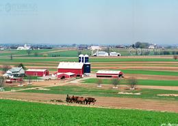 Fields Of Gold - The Amish Way. Horse Powered Tillage on an Amish Farm