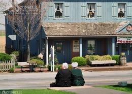 Fields Of Gold - The Amish Way. Amish Women Waiting for the Pick Up in Bird-in-the- Hand Village - Lancaster County