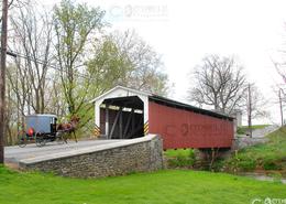 Fields Of Gold - The Amish Way. A Traditional Covered Bridge with Amish Buggy in Lancaster County