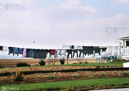 Fields Of Gold - The Amish Way. Amish Wash Line Displaying Plain Garb (clothing) for all the Family