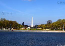 USA photography. Washington DC. The District. The Washington Monument View from The Capital Building