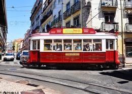 Irish photography. Historic Europe. The Trams - Lisbon, Portugal