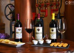 Irish photography. Historic Europe. Fernao Po Agega Winery (vintage wines) - Setubal Region, Portugal