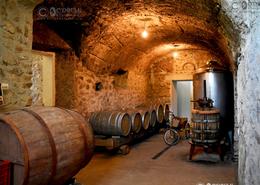 Irish photography. Historic Europe. Underground Caves at The Frascati Winery in the Old Town of Frascati in the Hills over Rome - Italy